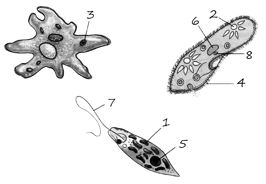 Решения и ответы к заданиям ЕГЭ-2023